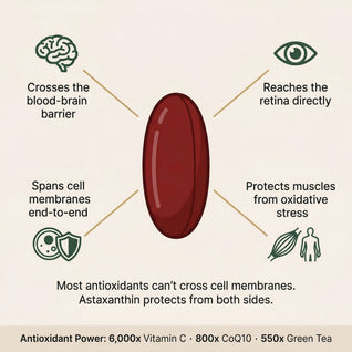 Astaxanthin 12mg, 120 softgels