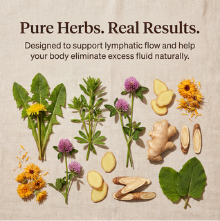 Lymphatic Drainage - Herbal support